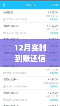 12月實(shí)時(shí)到賬，高效管理信用卡欠款，輕松還信用卡