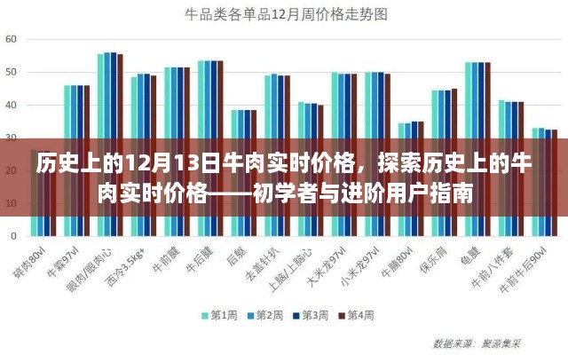 歷史上的牛肉實時價格探索，從入門到進階的指南