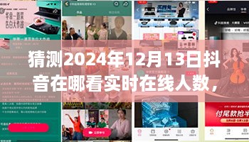 未來視野之旅，揭秘2024年抖音實時在線人數(shù)盛況——家庭日，在線情緣的見證