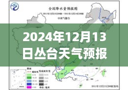 叢臺(tái)天氣預(yù)報(bào)實(shí)時(shí)洞察，2024年12月13日的天氣分析與影響