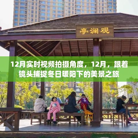 12月冬日美景之旅，捕捉暖陽下的絕佳拍攝角度