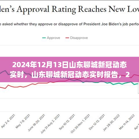 山東聊城新冠疫情動態(tài)報告，回顧與展望（2024年12月13日）