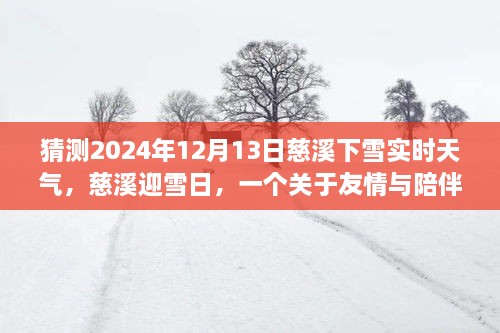 慈溪雪日溫情，友情與陪伴的溫馨故事，預測2024年12月13日實時天氣