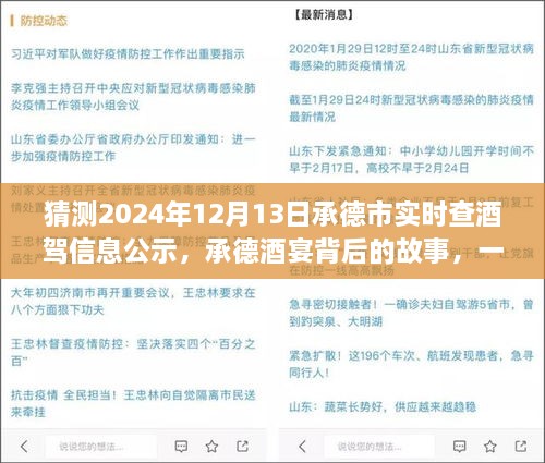 承德酒宴背后的故事，酒駕信息公示探秘之旅（猜測(cè)2024年12月13日承德市實(shí)時(shí)查酒駕信息公示）