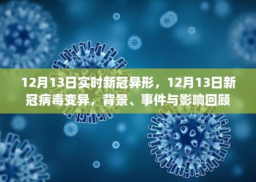 回顧，新冠病毒變異背景、事件與影響——以12月13日新冠病毒變異為例