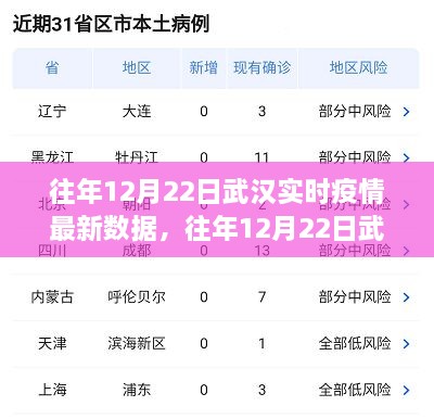 往年12月22日武漢實(shí)時(shí)疫情數(shù)據(jù)深度解析，特性、體驗(yàn)、競品對比及用戶群體分析報(bào)告