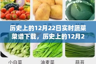 歷史上的12月22日實(shí)時(shí)蔬菜菜譜下載，價(jià)值探討與觀點(diǎn)論述