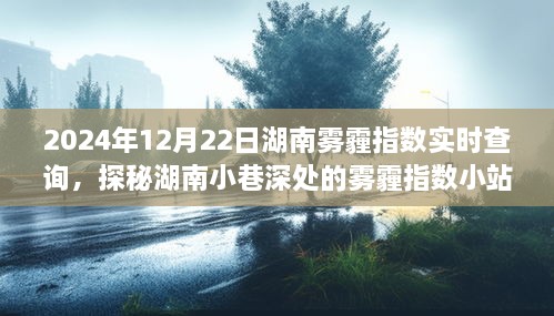 探秘湖南小巷深處，霧霾指數(shù)小站實時查詢之旅（2024年12月22日）