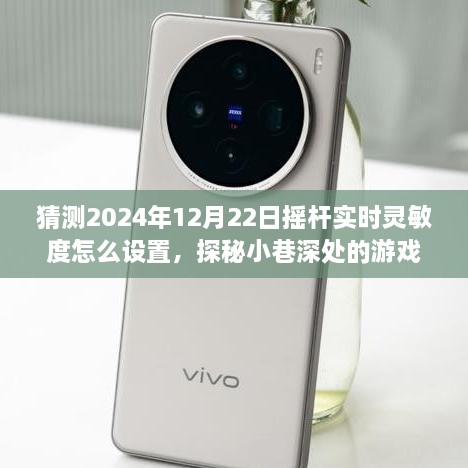 探秘游戲秘境，2024年搖桿實時靈敏度調(diào)整指南與獨特小店之旅揭秘游戲細節(jié)，小巷深處的游戲秘境等你來探探。