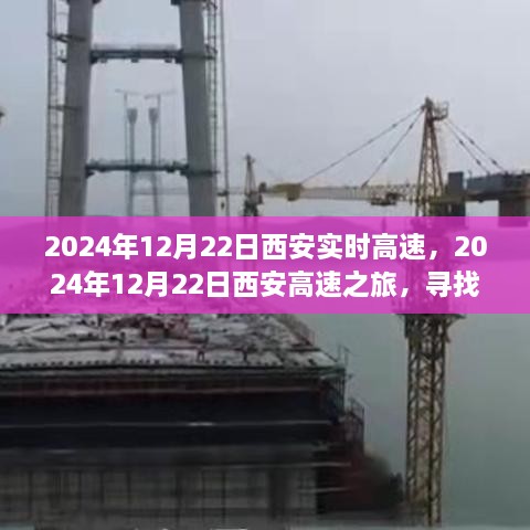 西安高速之旅，探尋自然懷抱，心靈寧靜之旅（2024年12月22日）