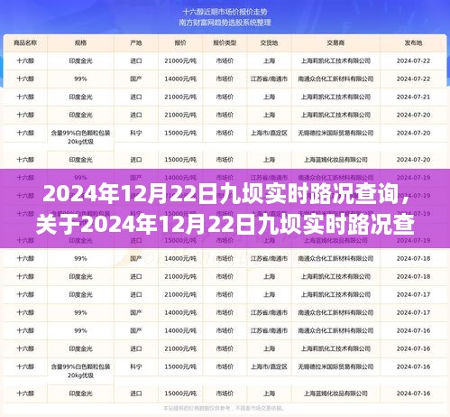 2024年12月22日九壩實(shí)時(shí)路況全面解析與查詢(xún)