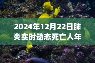 2024年12月25日 第16頁