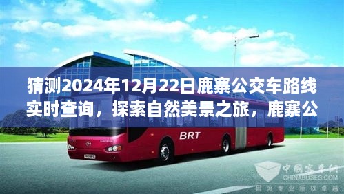 鹿寨公交路線新探秘，啟程2024年12月22日，探尋自然美景之旅實(shí)時(shí)查詢