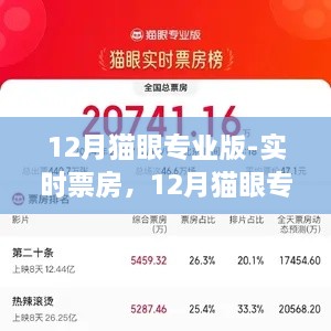 12月貓眼專業(yè)版實時票房解析，電影市場深度洞察