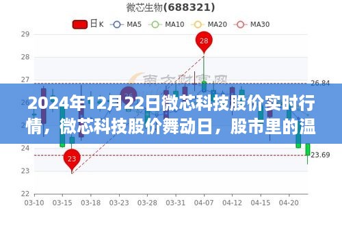 微芯科技股價(jià)實(shí)時(shí)行情解析，股市中的溫情故事在舞動(dòng)日展現(xiàn)（2024年12月22日）