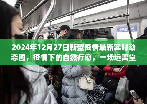 疫情下的自然療愈之旅，探尋內(nèi)心平靜與新型疫情的實時動態(tài)圖