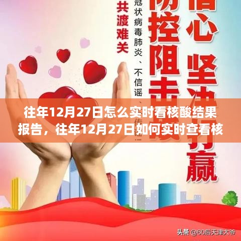 往年12月27日如何實時查看核酸結(jié)果報告，方法與觀點探討