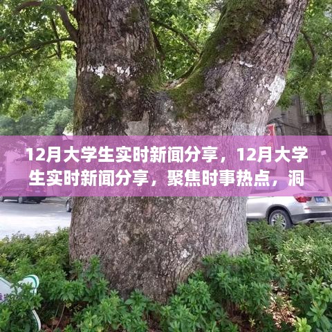 聚焦時事熱點，大學生實時新聞分享，洞察時代變遷的十二月觀察