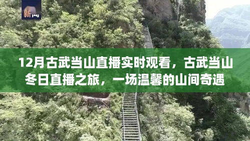 古武當(dāng)山冬日直播之旅，探尋山間奇遇的溫馨之旅