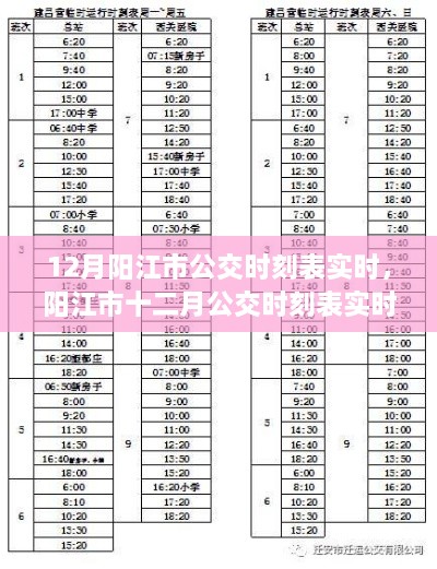 陽江市公交時刻表實時更新解析，十二月公交運營動態(tài)觀察