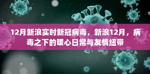 新浪12月，病毒下的暖心日常與友情紐帶，實(shí)時(shí)新冠病毒報(bào)道