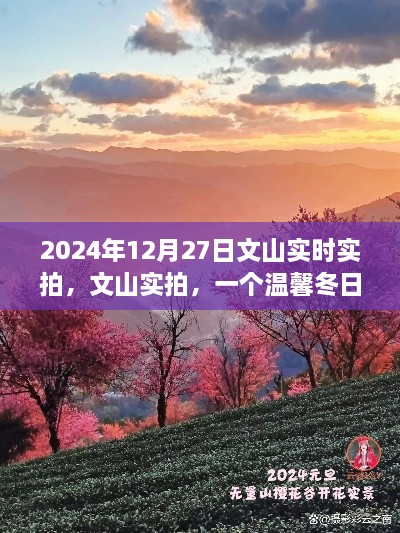 文山實拍，溫馨冬日的故事實拍紀實（2024年12月27日）