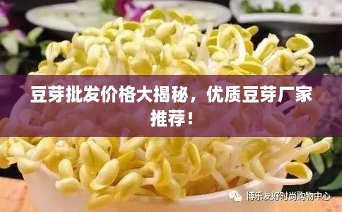 豆芽批發(fā)價格大揭秘，優(yōu)質(zhì)豆芽廠家推薦！