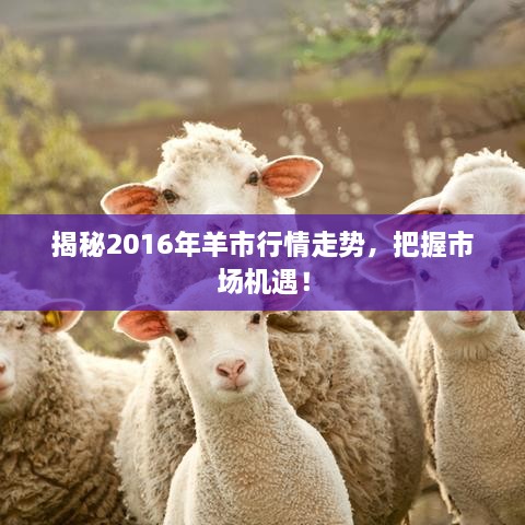 揭秘2016年羊市行情走勢，把握市場機遇！