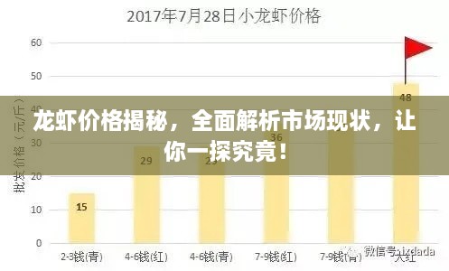 龍蝦價(jià)格揭秘，全面解析市場(chǎng)現(xiàn)狀，讓你一探究竟！