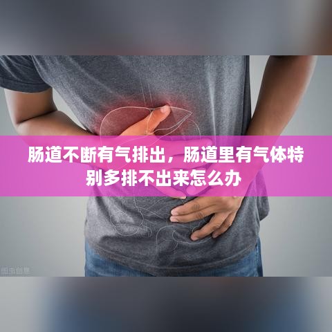 腸道不斷有氣排出，腸道里有氣體特別多排不出來(lái)怎么辦 