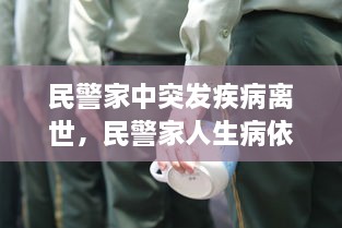 雅人清致