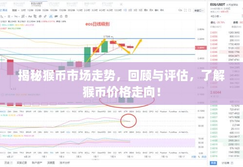 揭秘猴幣市場(chǎng)走勢(shì)，回顧與評(píng)估，了解猴幣價(jià)格走向！