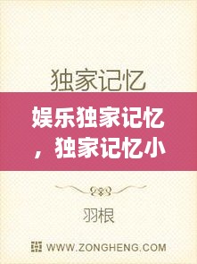 娛樂獨家記憶，獨家記憶小說完整版 