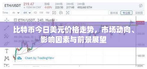 比特幣今日美元價格走勢，市場動向、影響因素與前景展望
