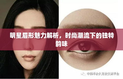 明星眉形魅力解析，時(shí)尚潮流下的獨(dú)特韻味