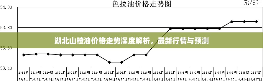 湖北山楂油價格走勢深度解析，最新行情與預(yù)測