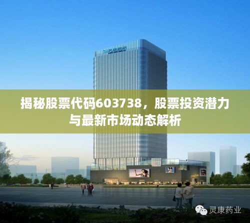 揭秘股票代碼603738，股票投資潛力與最新市場動態(tài)解析