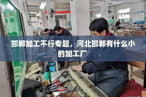 邯鄲加工不行專題，河北邯鄲有什么小的加工廠 