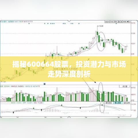 揭秘600664股票，投資潛力與市場(chǎng)走勢(shì)深度剖析