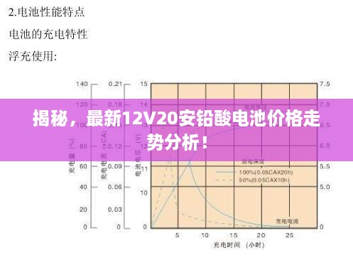 揭秘，最新12V20安鉛酸電池價格走勢分析！