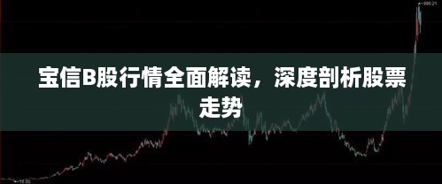 寶信B股行情全面解讀，深度剖析股票走勢