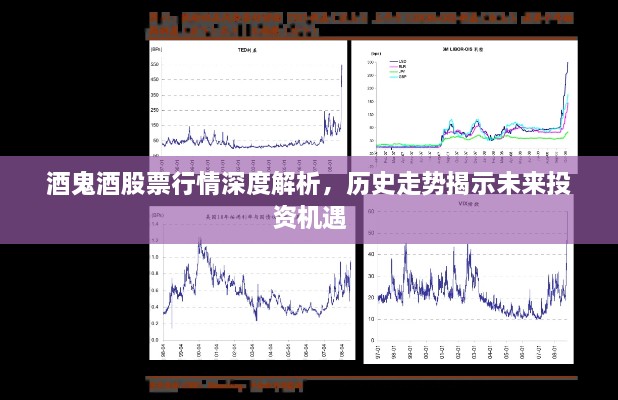 酒鬼酒股票行情深度解析，歷史走勢揭示未來投資機遇