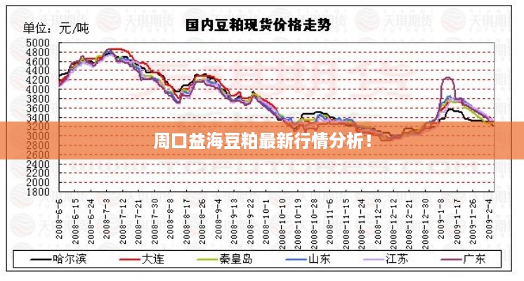 周口益海豆粕最新行情分析！