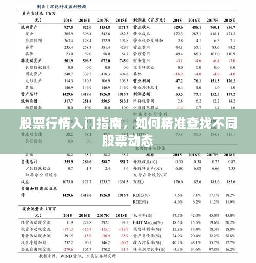 股票行情入門指南，如何精準查找不同股票動態(tài)