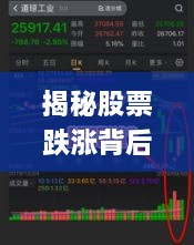 揭秘股票跌漲背后的風(fēng)險(xiǎn)與策略，如何巧妙應(yīng)對(duì)股市波動(dòng)？