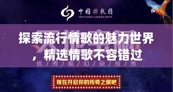 探索流行情歌的魅力世界，精選情歌不容錯過