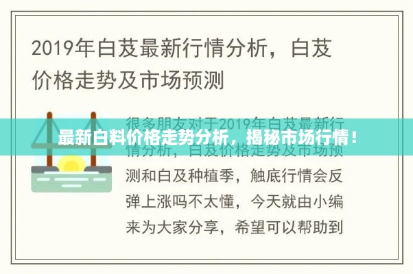 最新白料價格走勢分析，揭秘市場行情！