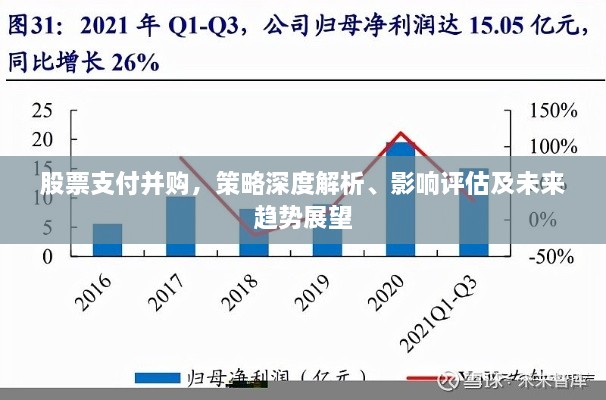 股票支付并購，策略深度解析、影響評估及未來趨勢展望