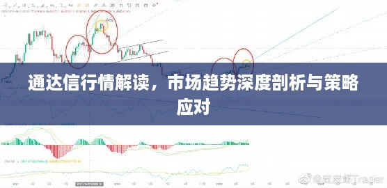 通達信行情解讀，市場趨勢深度剖析與策略應對