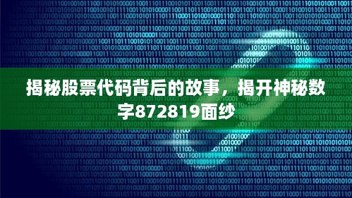 揭秘股票代碼背后的故事，揭開神秘數(shù)字872819面紗